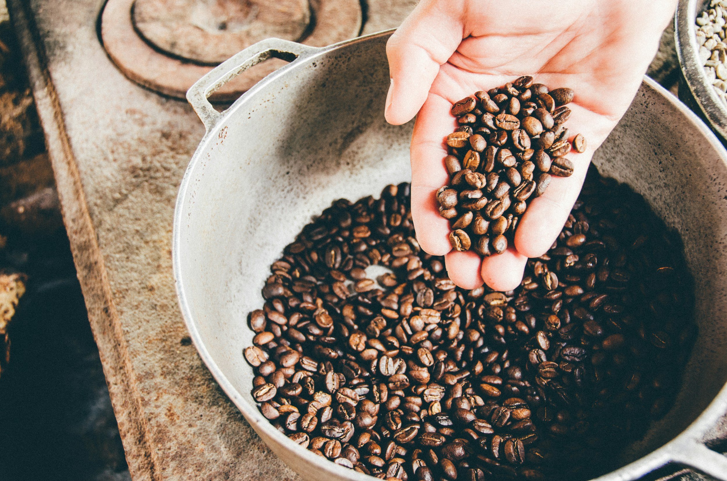 A person's hand holding a bunch of roasted coffee beans over a large pot filled with more coffee beans, on a rustic wooden surface.