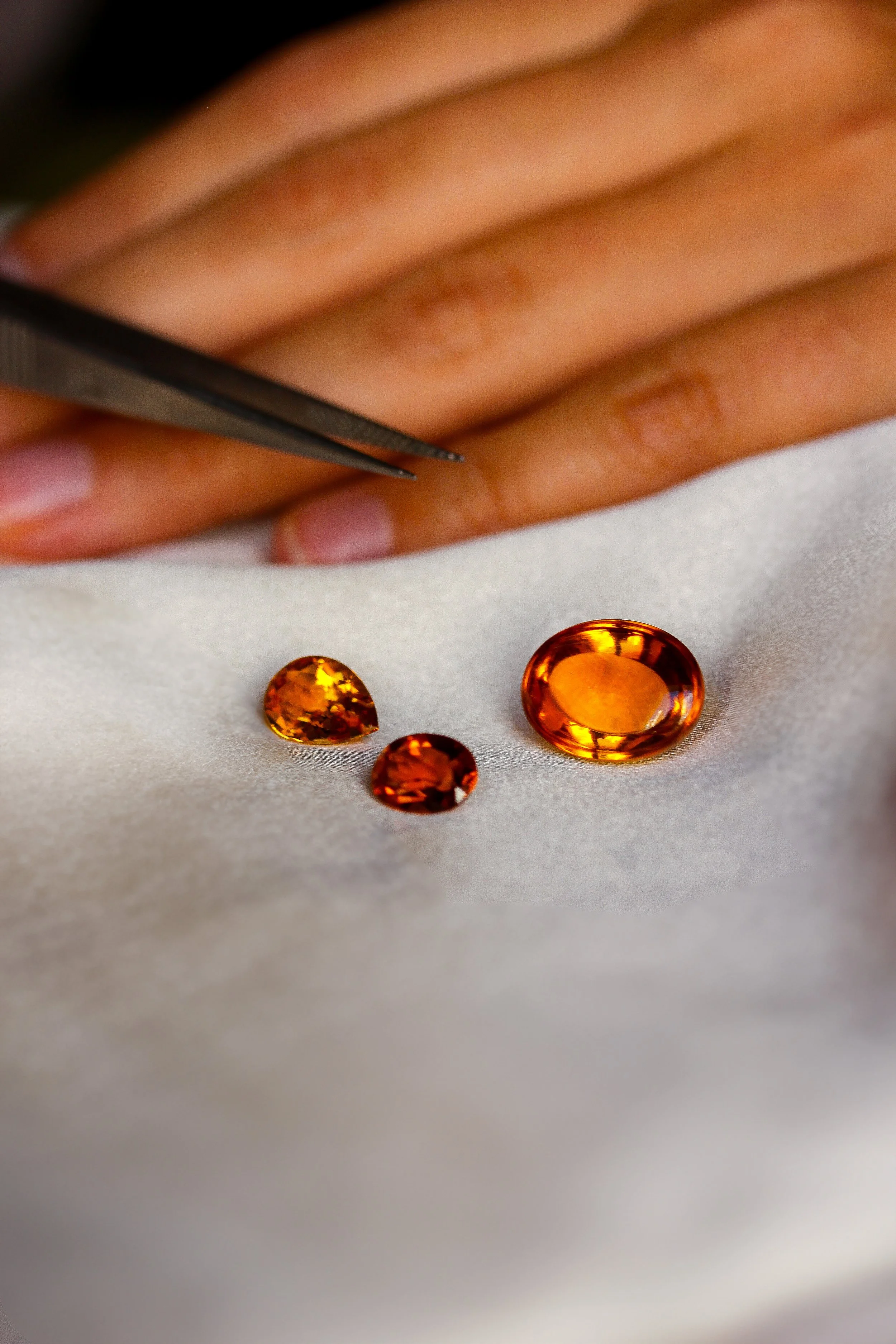 IMG_9880 retouchée.jpg