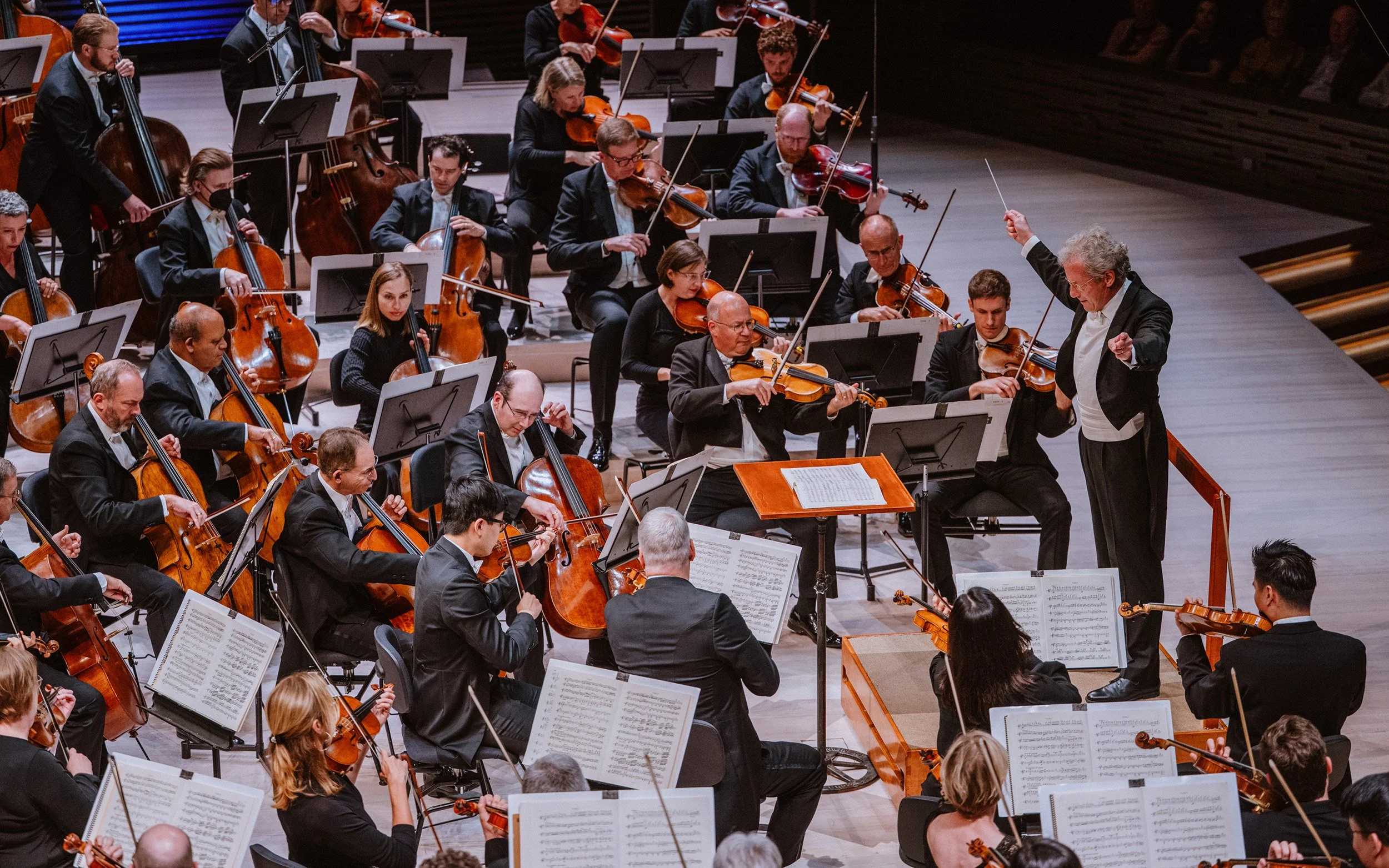 Orkesteri ja kapellimestari, paljon jousisoittajia: viuluja ja selloja.