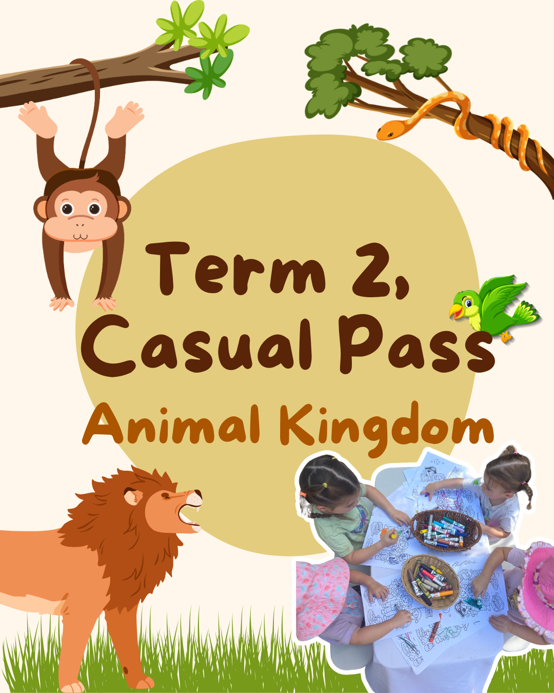 Term 2 Casual Pass