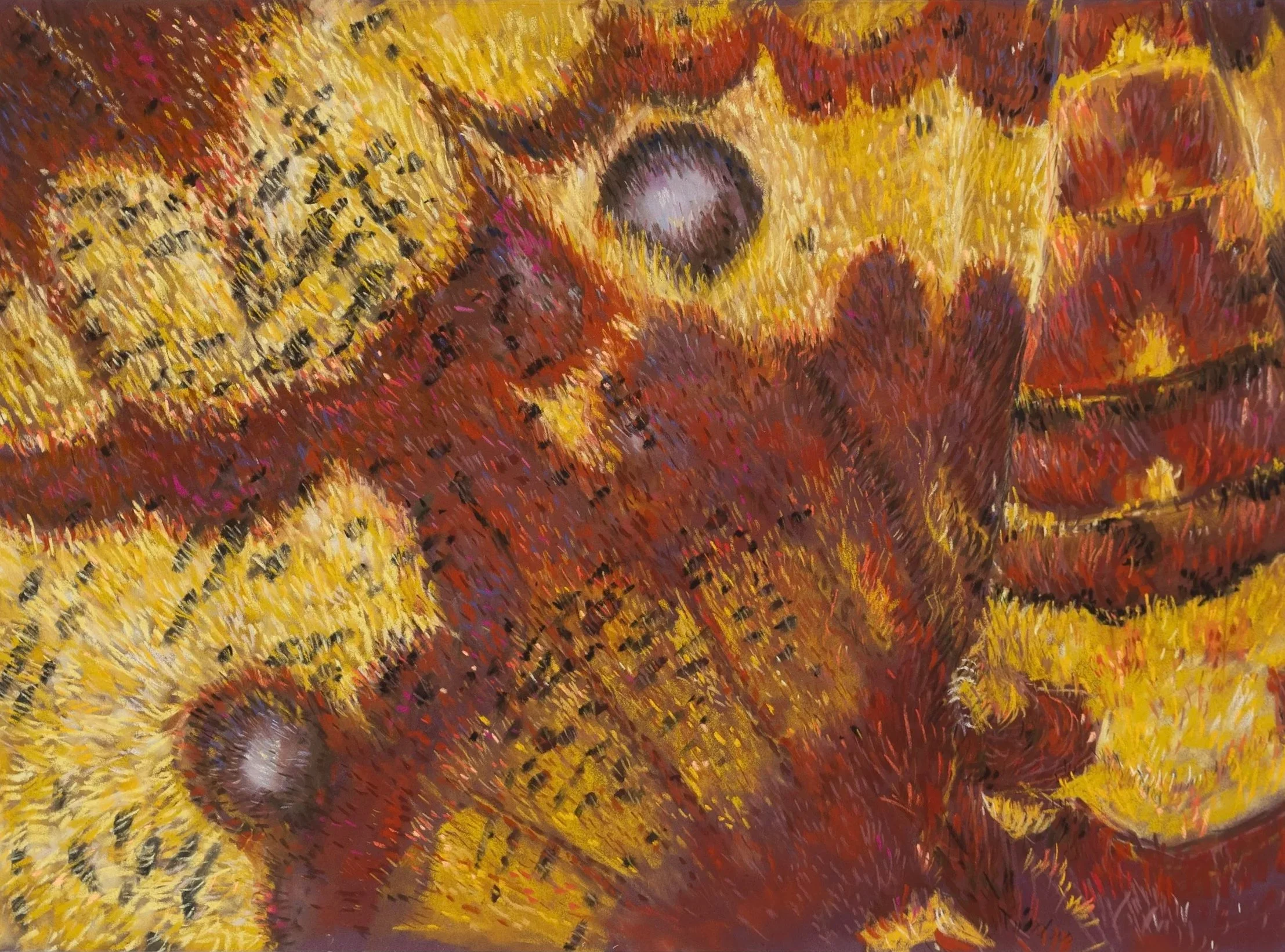 "Plantain" 50 x 70cm