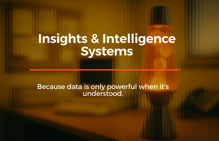 Insights & Intelligence Systems | Velocity AI Consulting