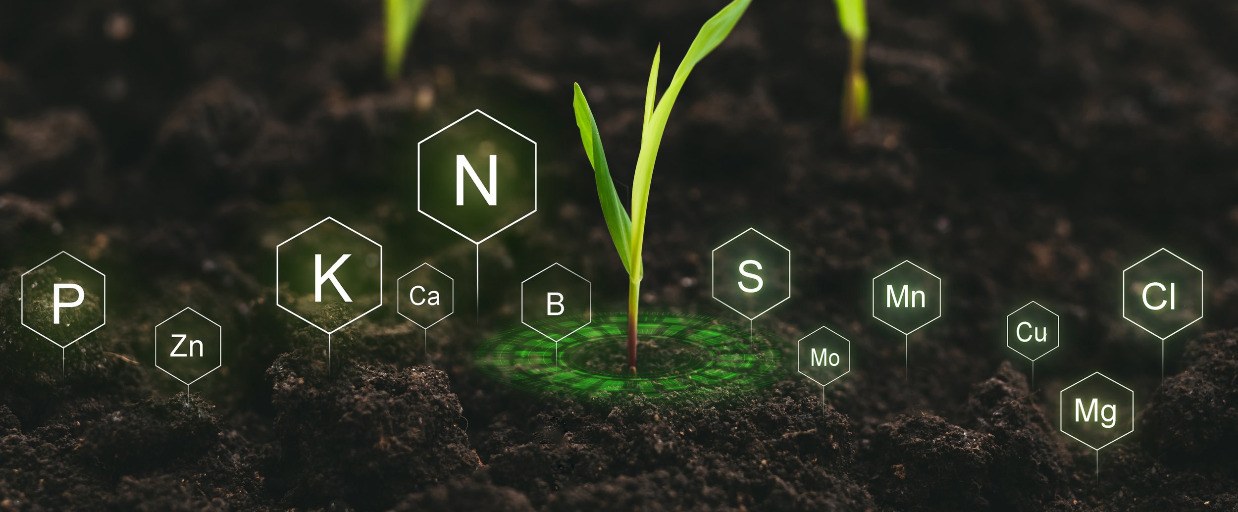 A brief explanation: why triplex is more efficient than the others