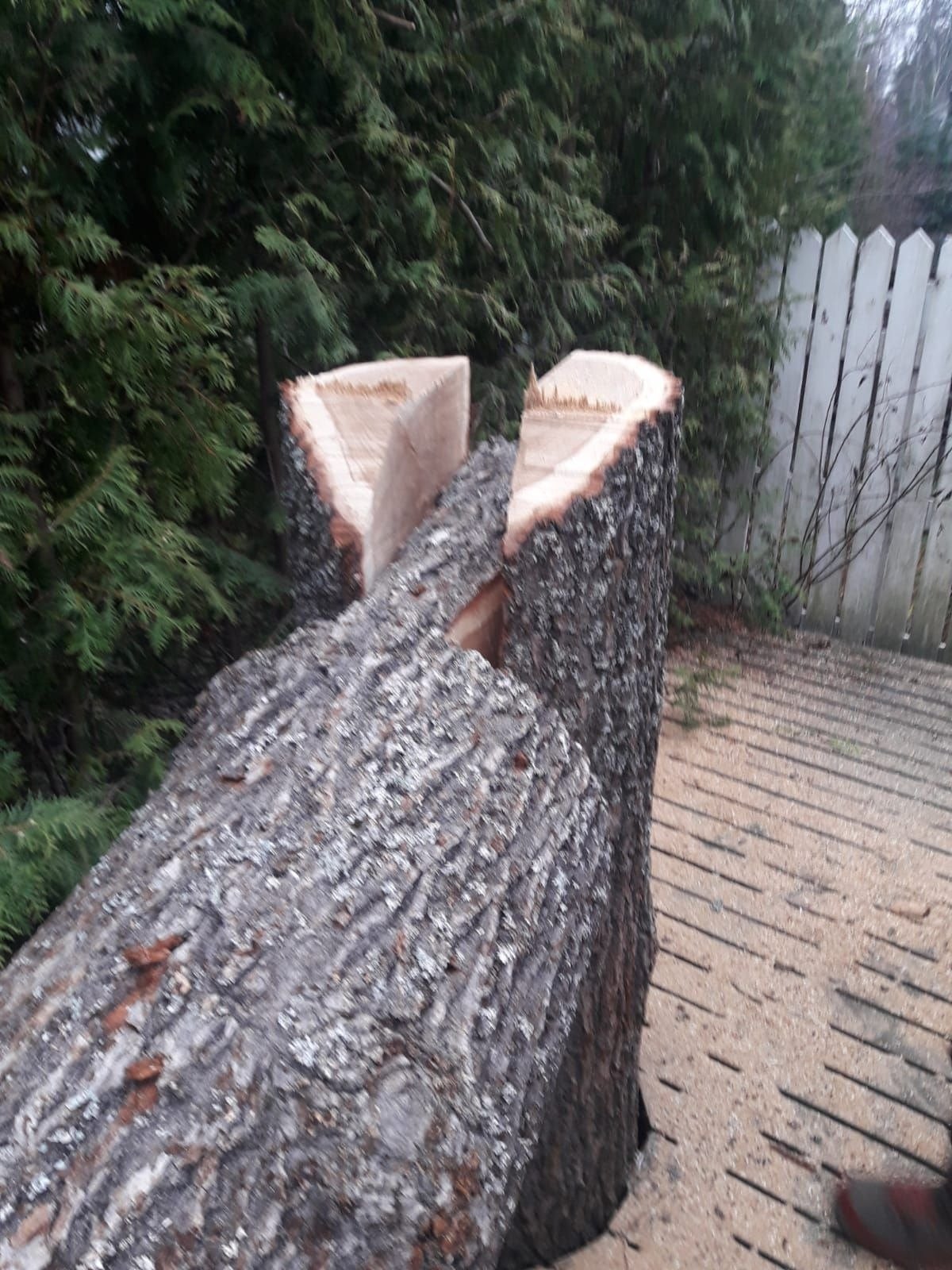 Runkojen pätkintä Uudemaan Pihapuu