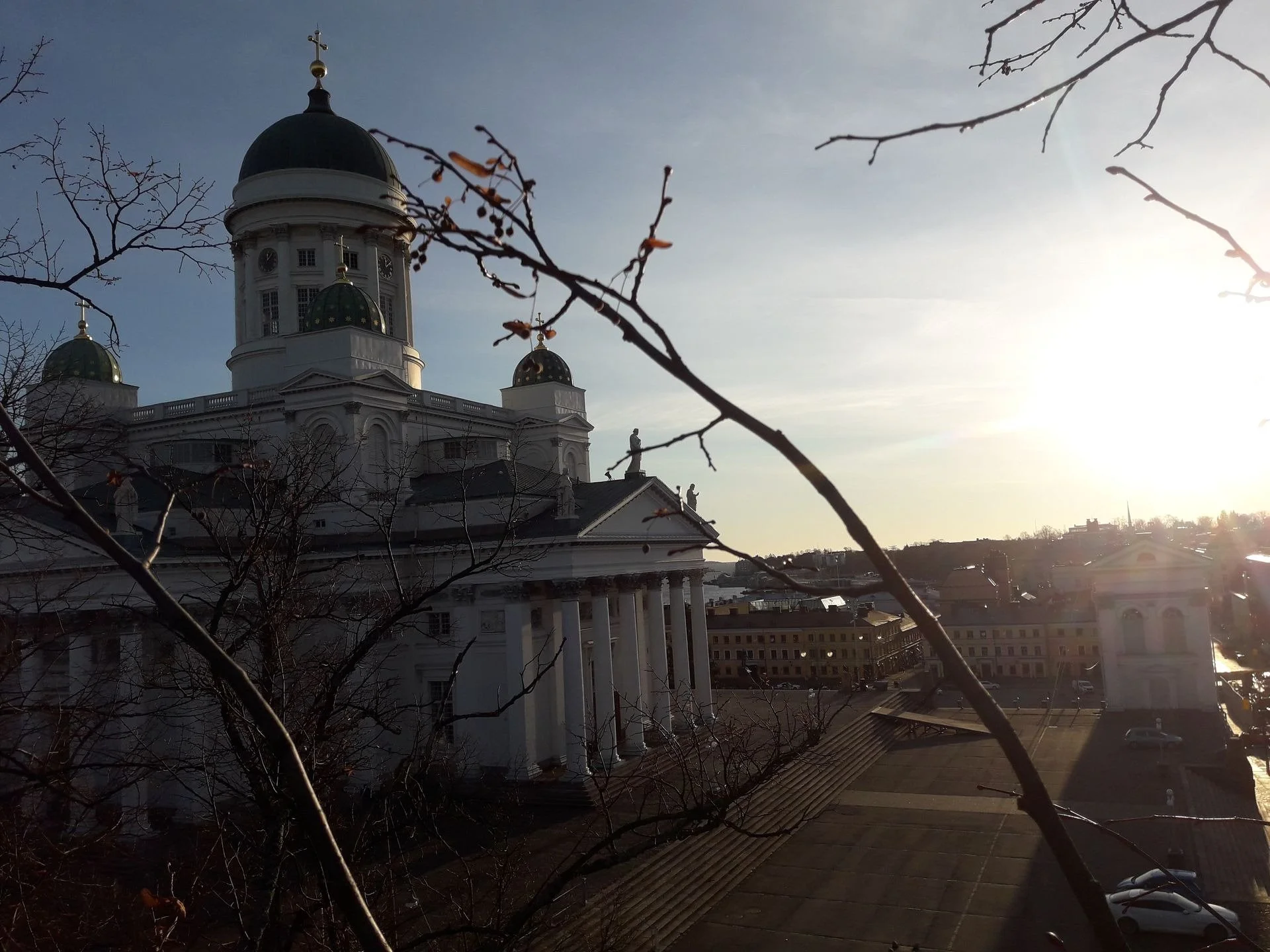 Puiden hoito­leikkaukset Uudemaan Pihapuu