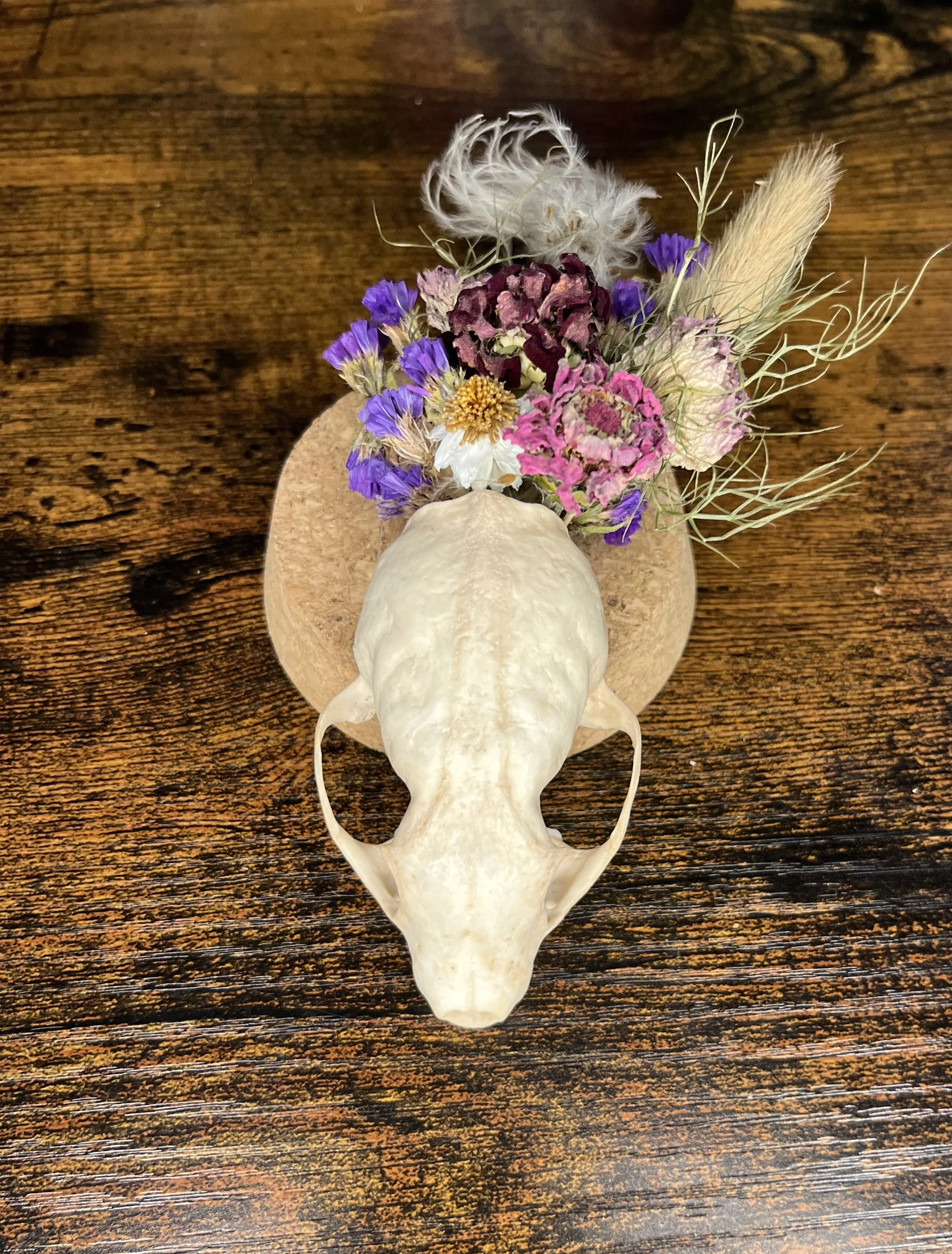 BGC Pine Marten.jpeg