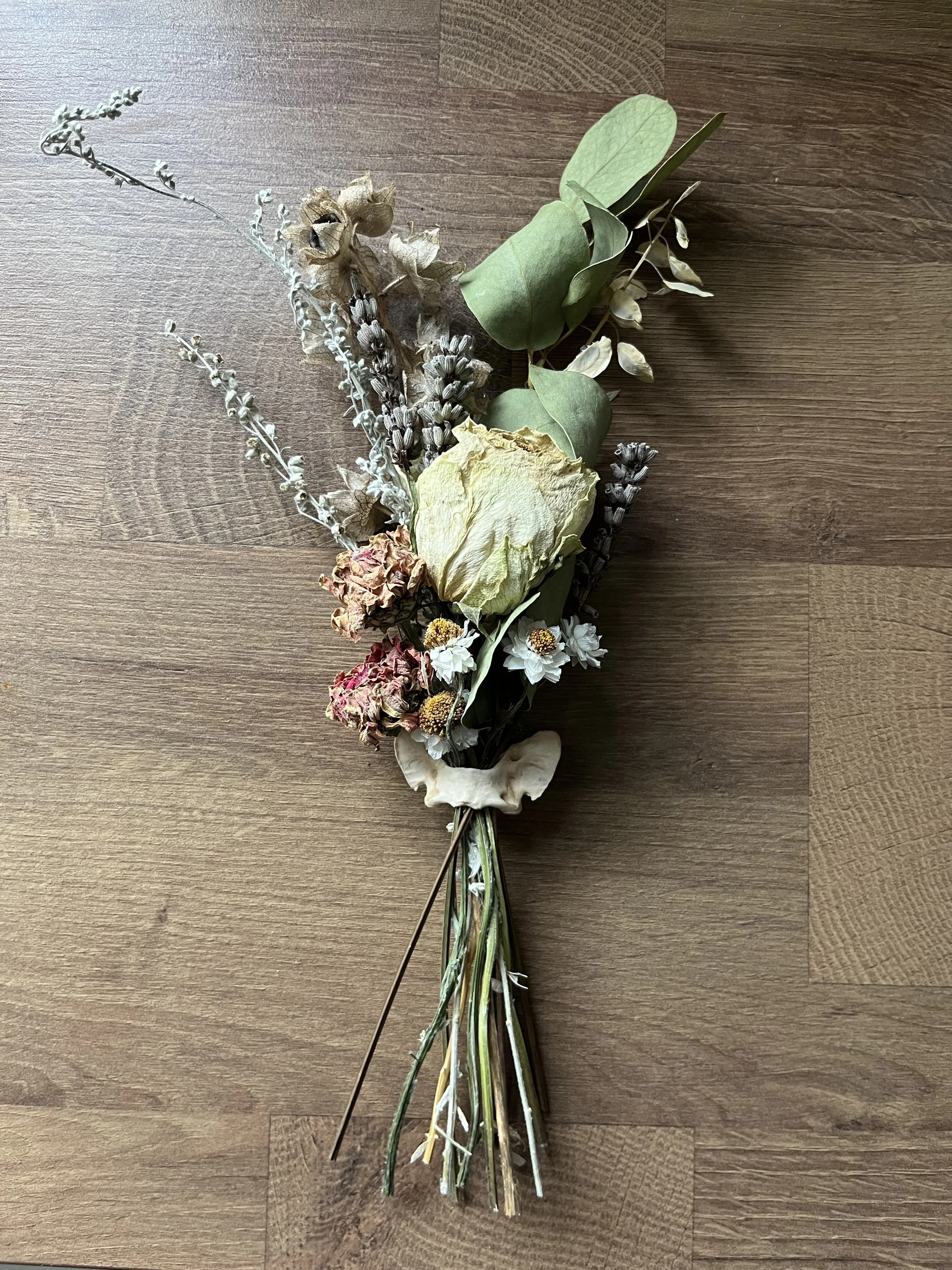 Fox Vertebrae Small Bunch