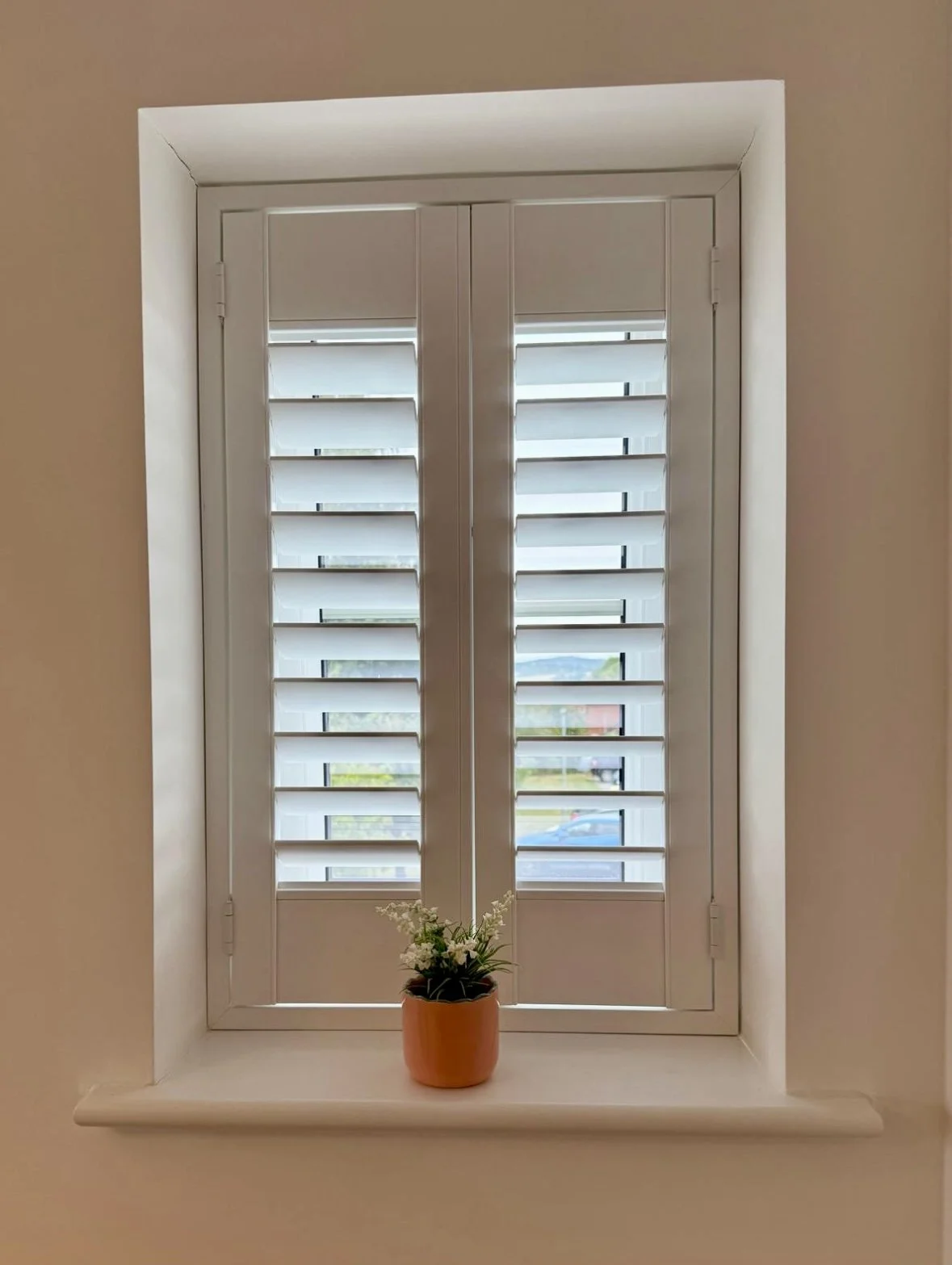 A white window with wooden shutters and a small potted plant on the windowsill.