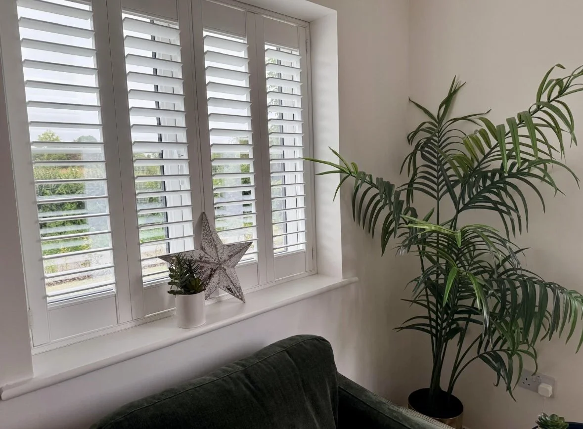 Interior view of a living room corner with a window featuring white plantation shutters, a potted plant on the windowsill, a large potted palm in the corner, and part of a dark upholstered sofa.