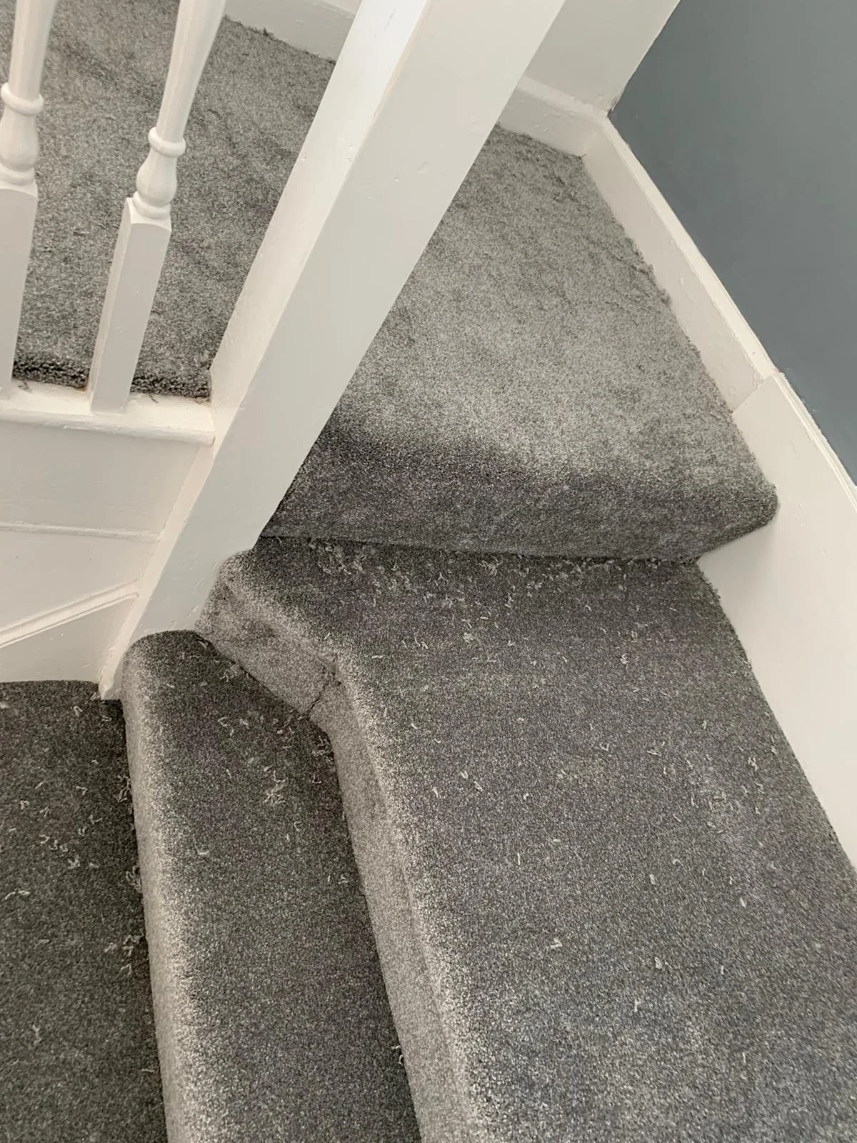 Carpet