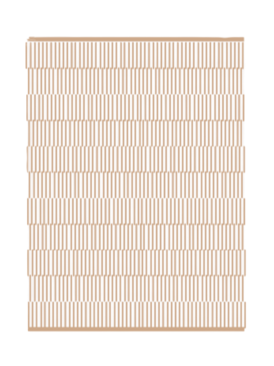 BRAGA_ REF_ WP010LKW100100160WG.png