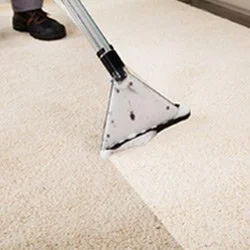 A carpet cleaning machine with a metal head, cleaning a beige carpet.