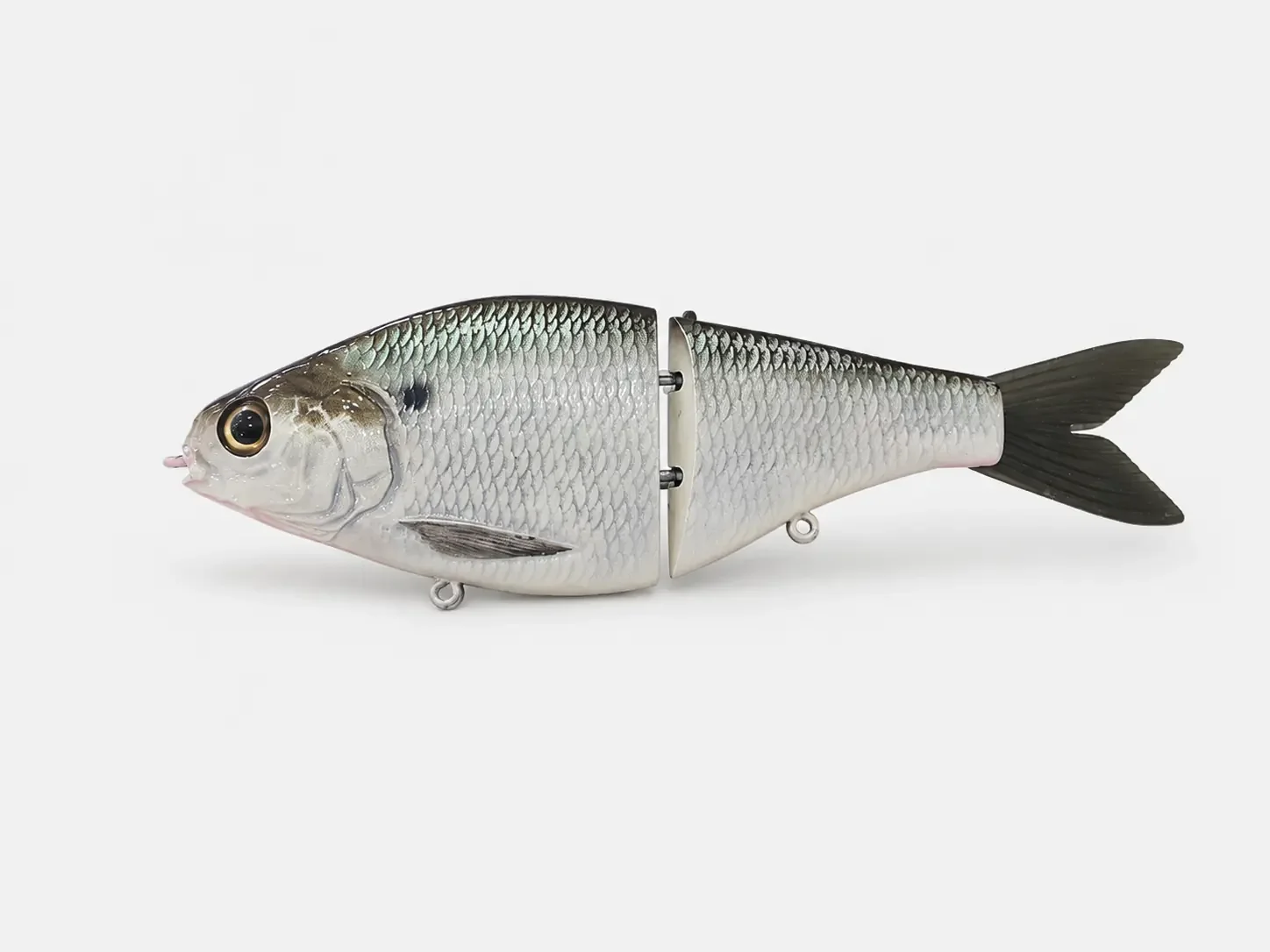 Shoal Shad Glide 7.5