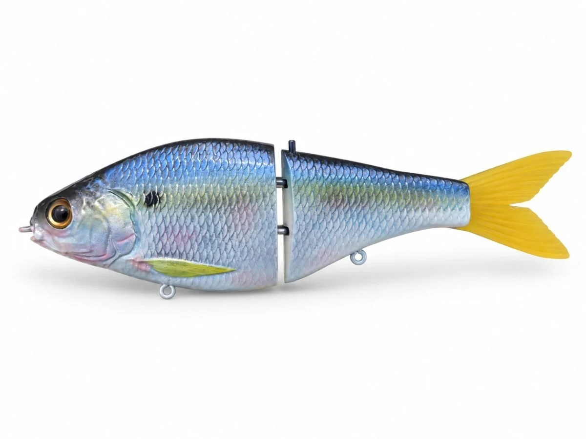 stressed-threadfin-web.jpg
