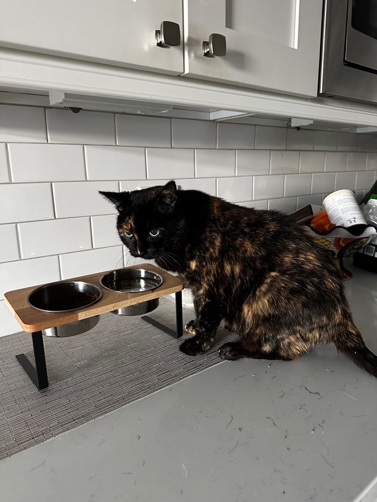 Olivia.jpeg