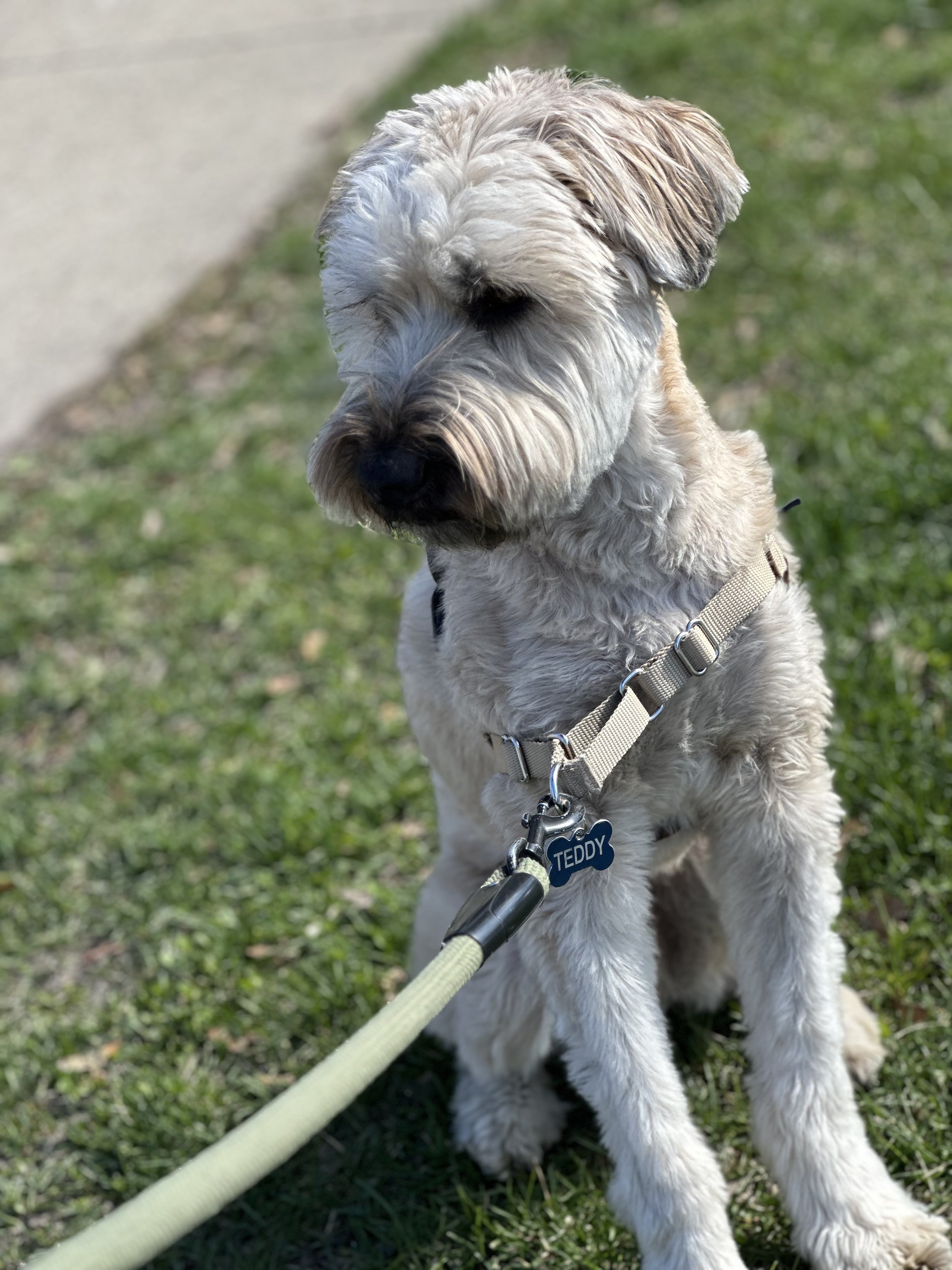 IMG_6282.jpeg