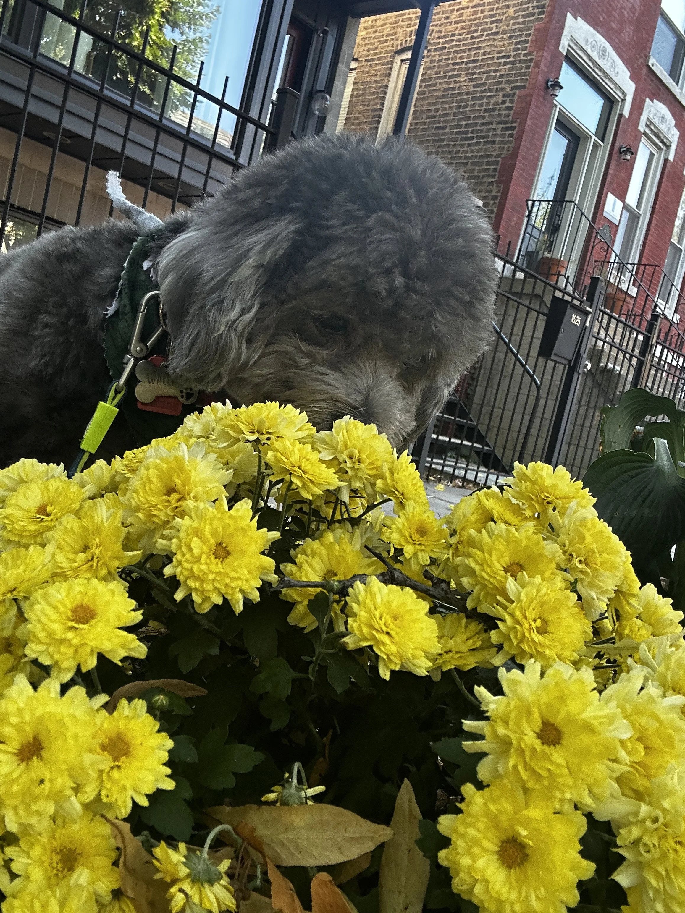 IMG_7785.jpeg