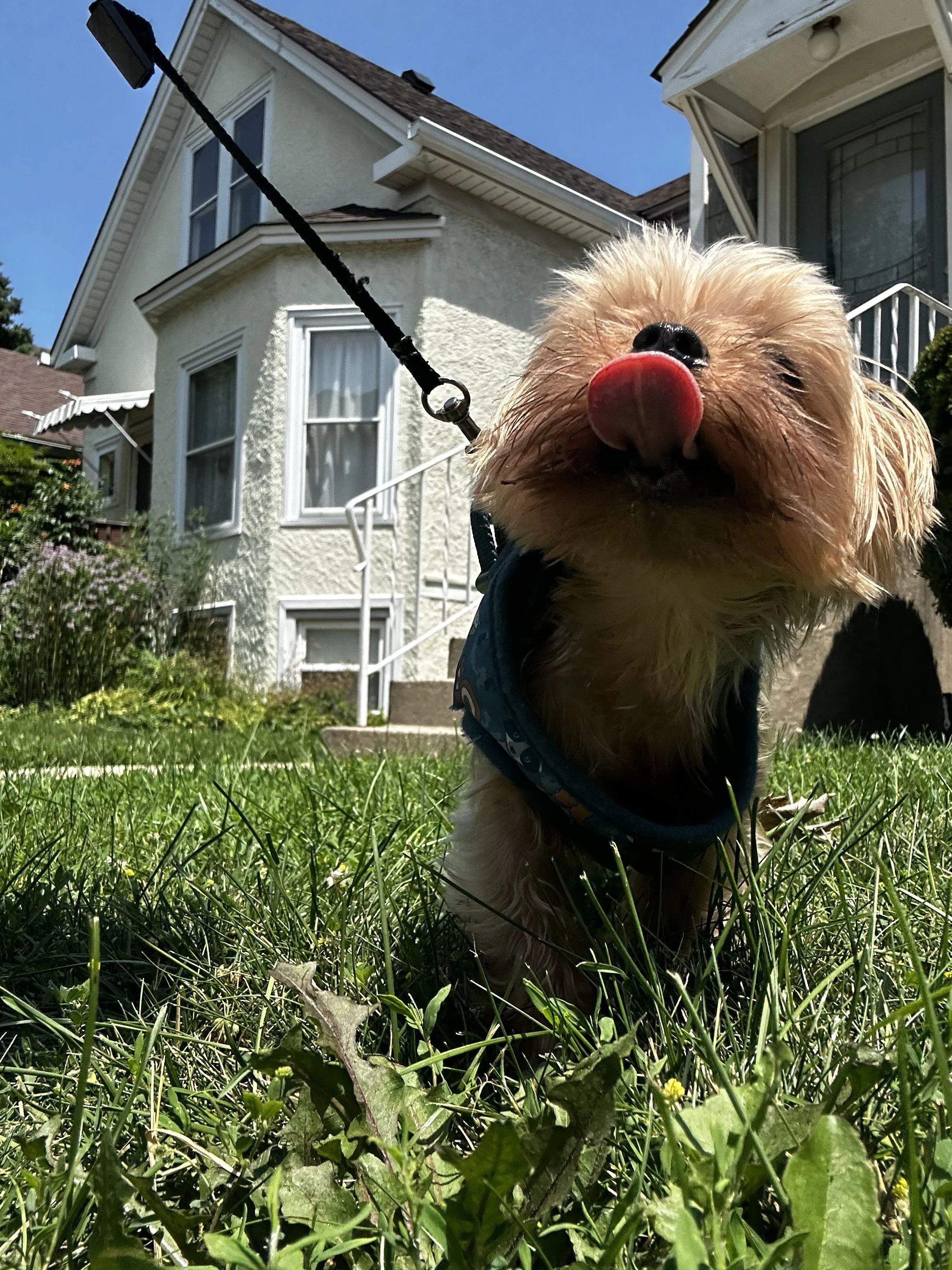 IMG_6995.jpeg