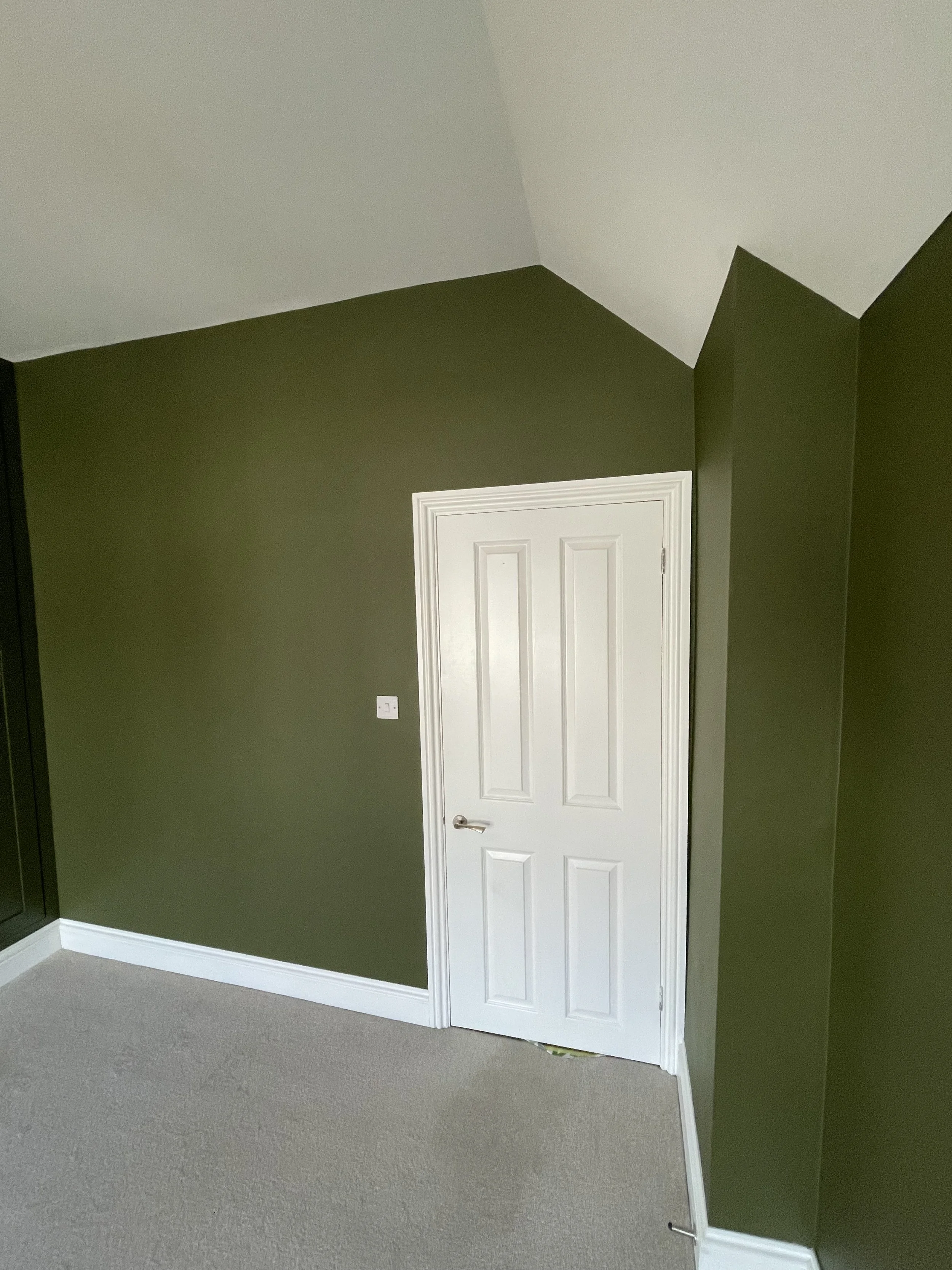 Room with green walls, a white door, beige carpet, and a white baseboard.
