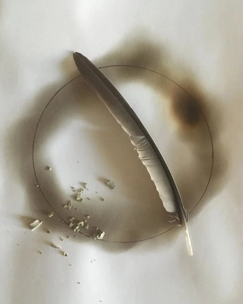 "Sage", fire burning, soot, graphite, found feather, pieces of white sage - Laura Cerrano