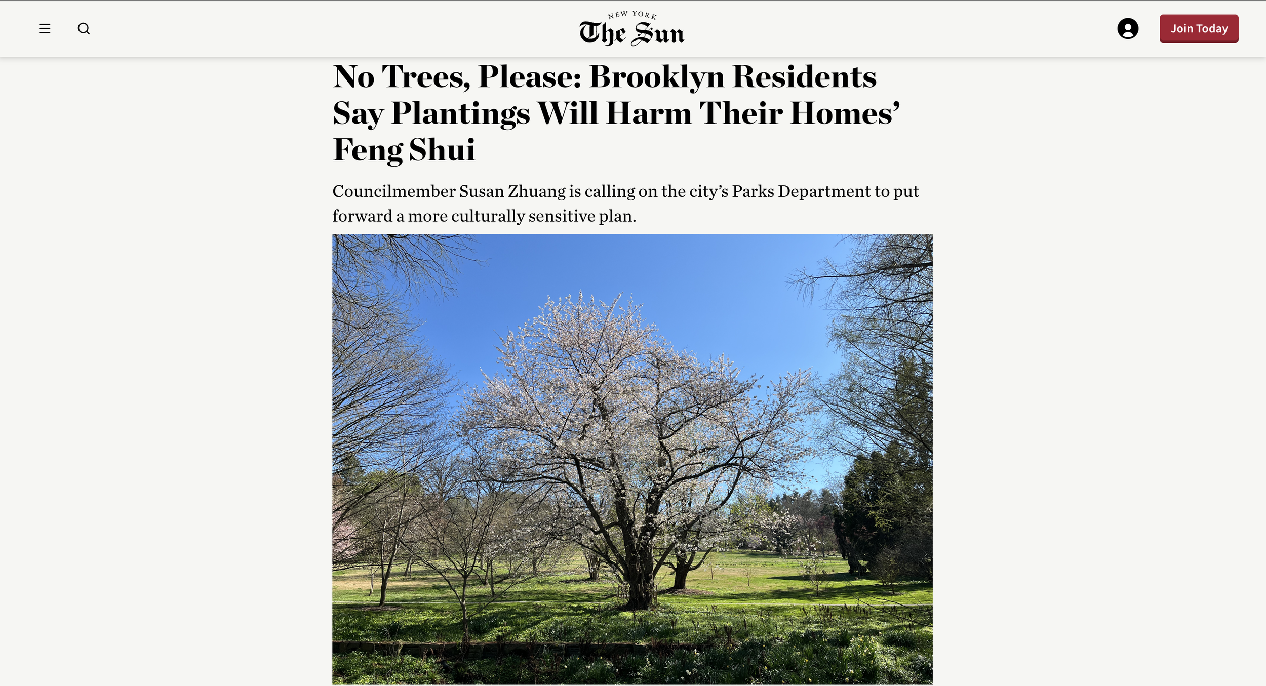 No Trees, Please: Brooklyn Residents Say Plantings Will Harm Their Homes’ Feng Shui
