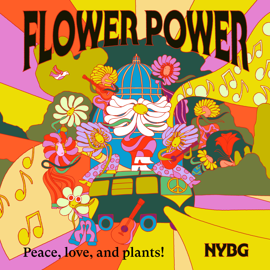 Colorful psychedelic illustration with flowers, musical notes, a peace sign, and a hippie-style bus. Text reads 'FLOWER POWER' at the top and 'Peace, love, and plants!' at the bottom right corner, with the acronym 'HYBG'.