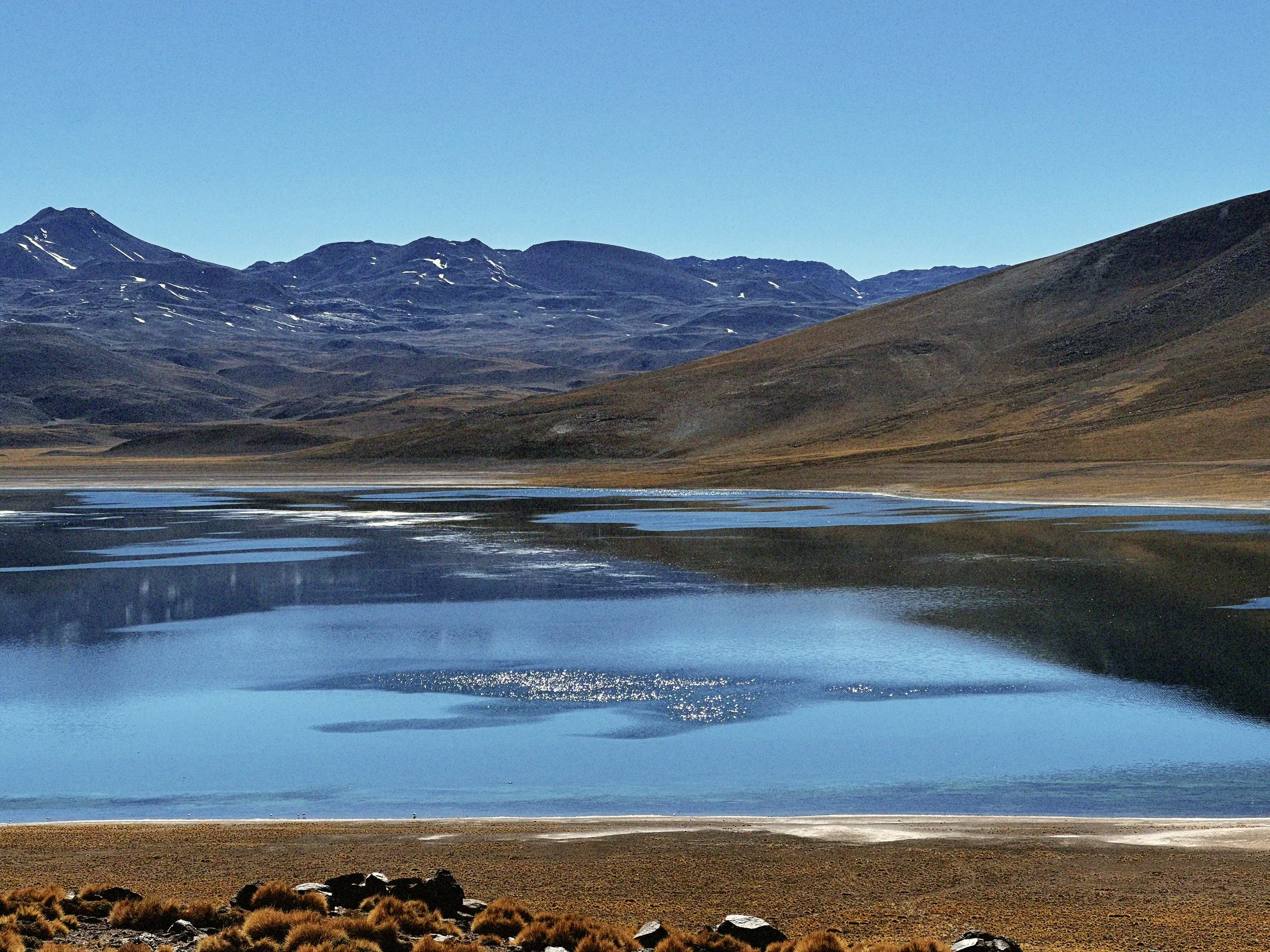 Piedras Rojas, Lagunas Altiplanicas y Laguna Chaxa