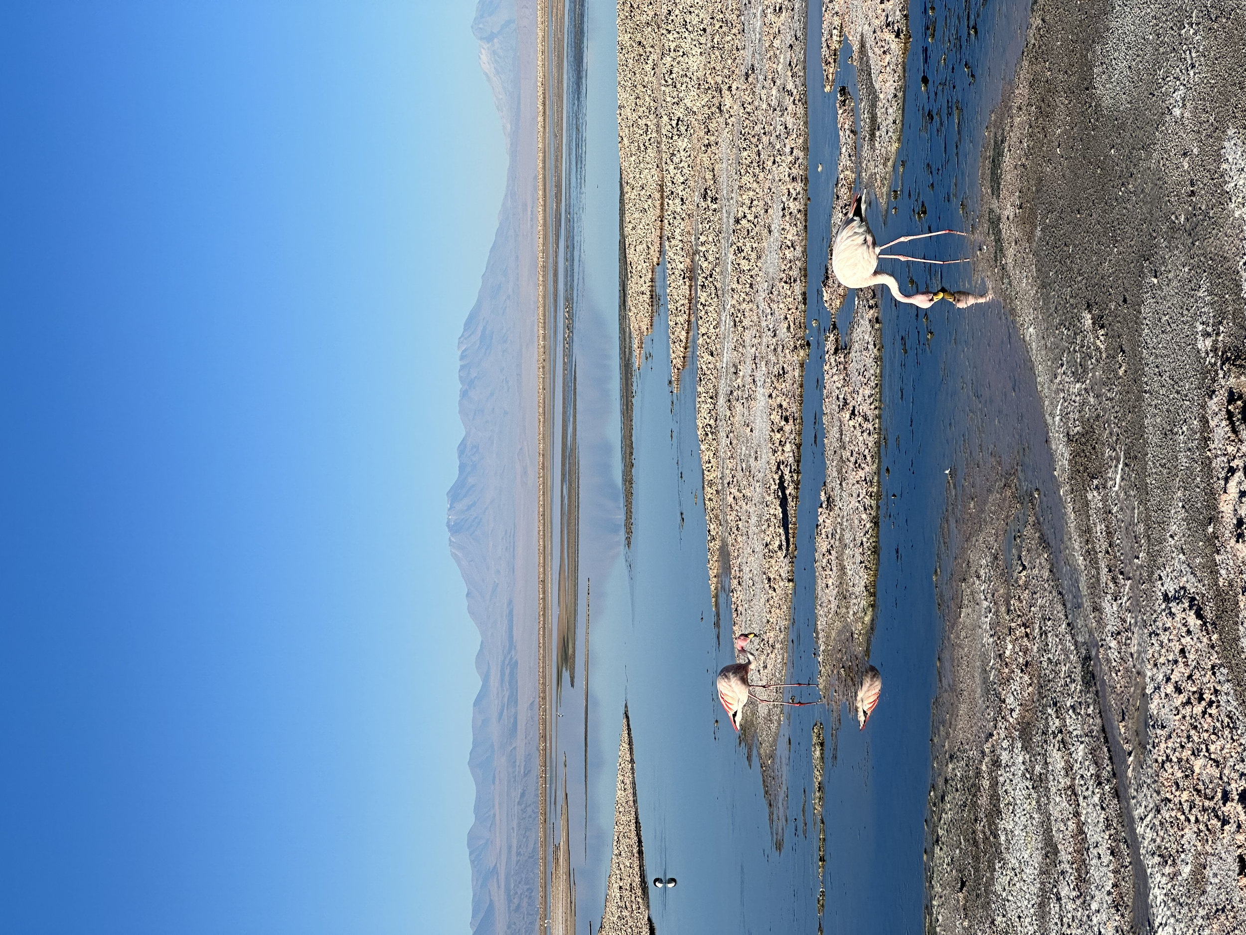 Laguna Chaxa y Toconao