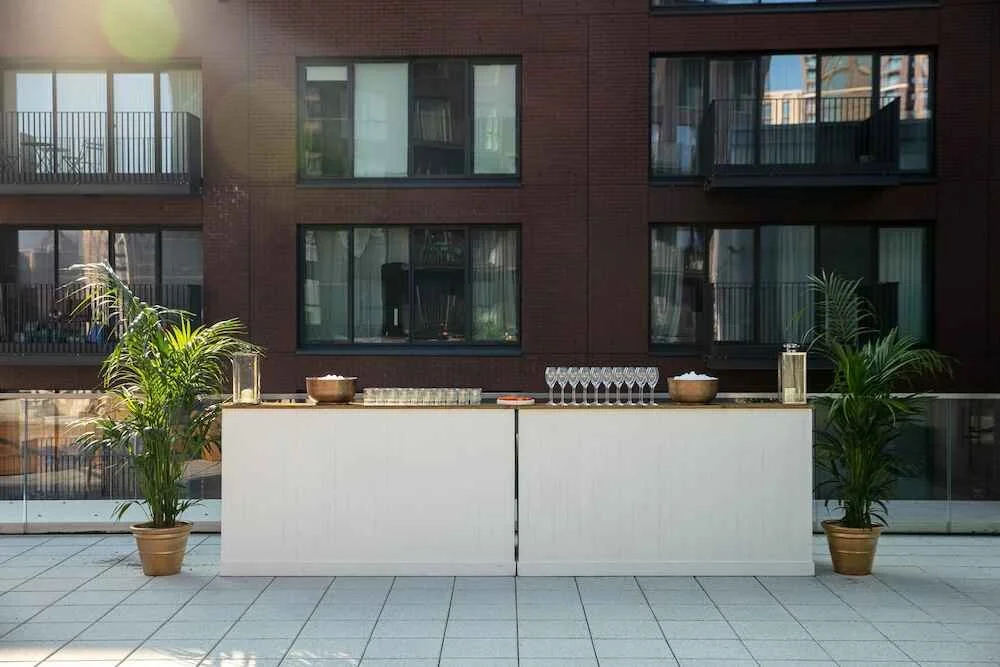 14. Roof Terrace Credit Thomas Alexander.jpg