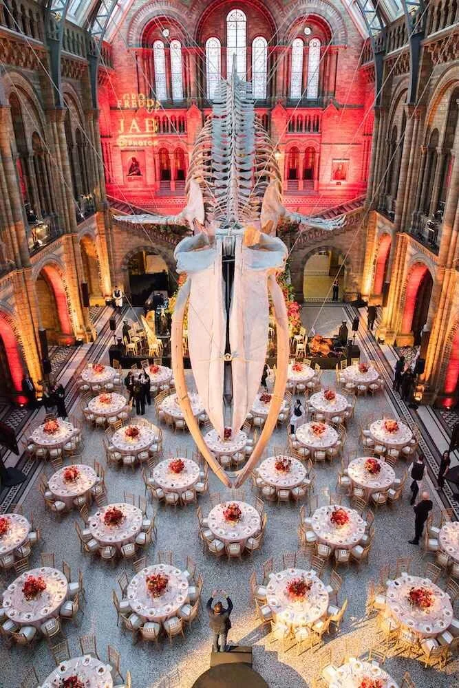 DKMS at NHM 25.05.23-30.jpg