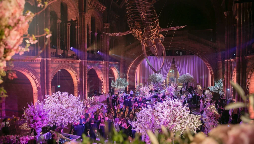RocketNHMWeddingApril072018185-1020x580.webp