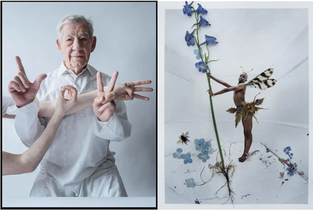 press_Tim_Walker_combined.21751e69.jpg