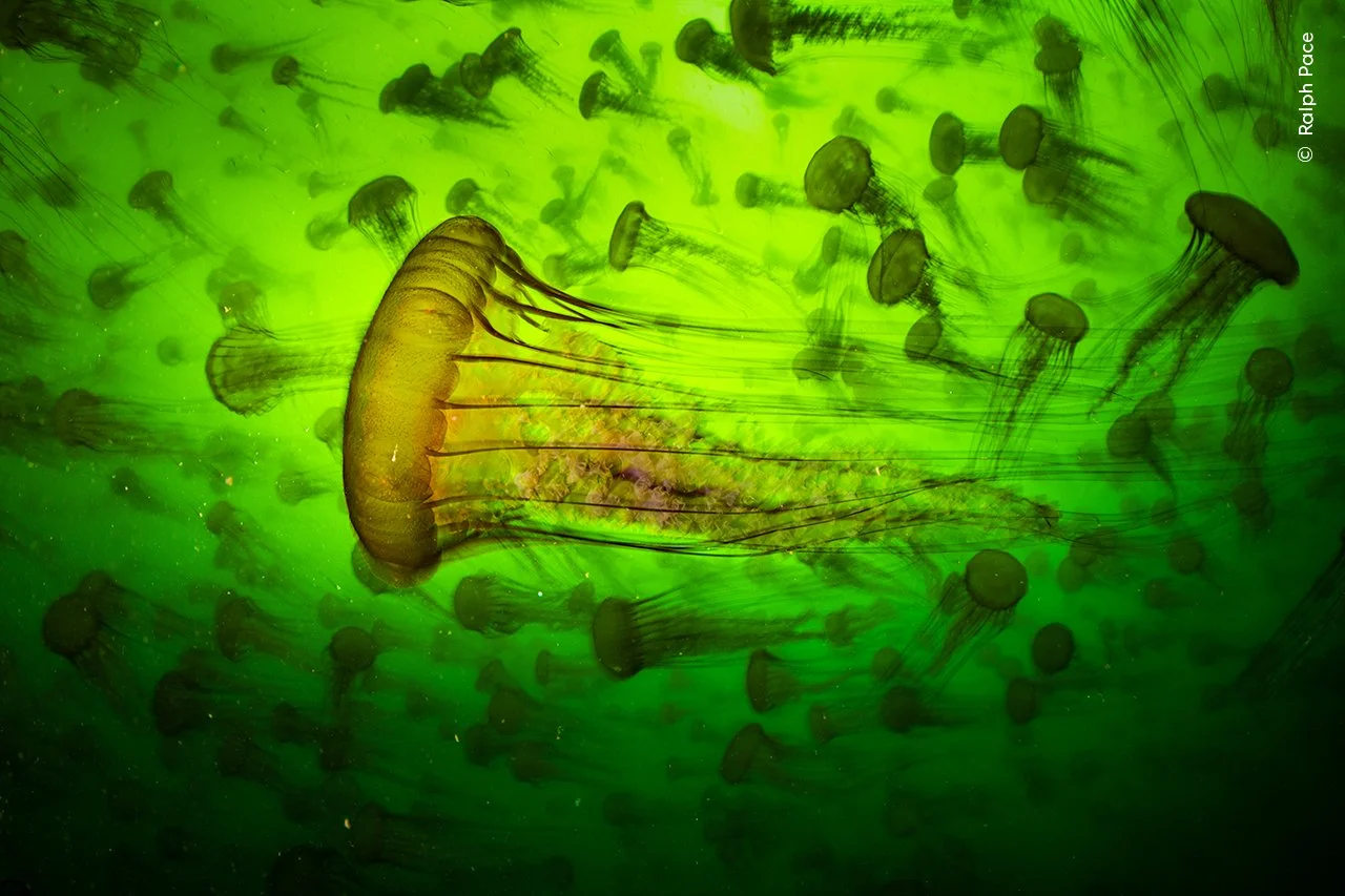 dc049b26-89f3-4813-9b8d-3298c5ab3521.jpg