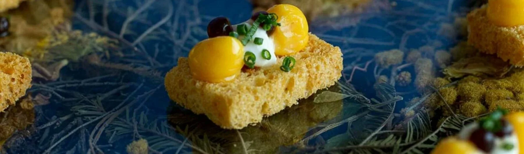 ‘Drawn to Nature’ by Beatrix Potter at the V&amp;A