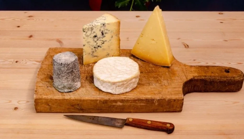 Rocket's Christmas Gift Guide