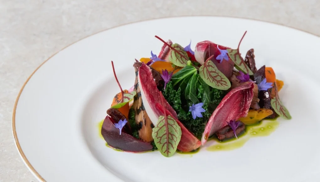 Rocket Menus: Autumn Winter 2024