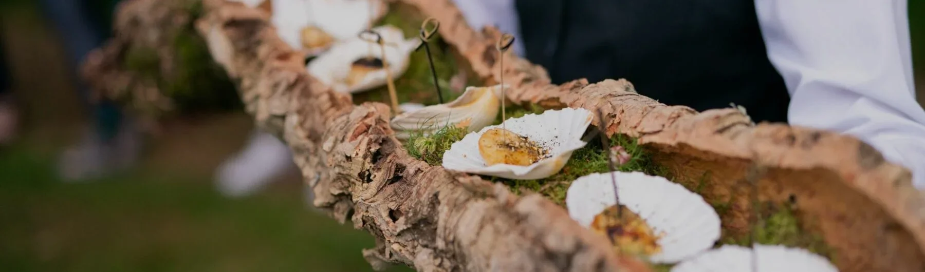 Earth Month at Rocket