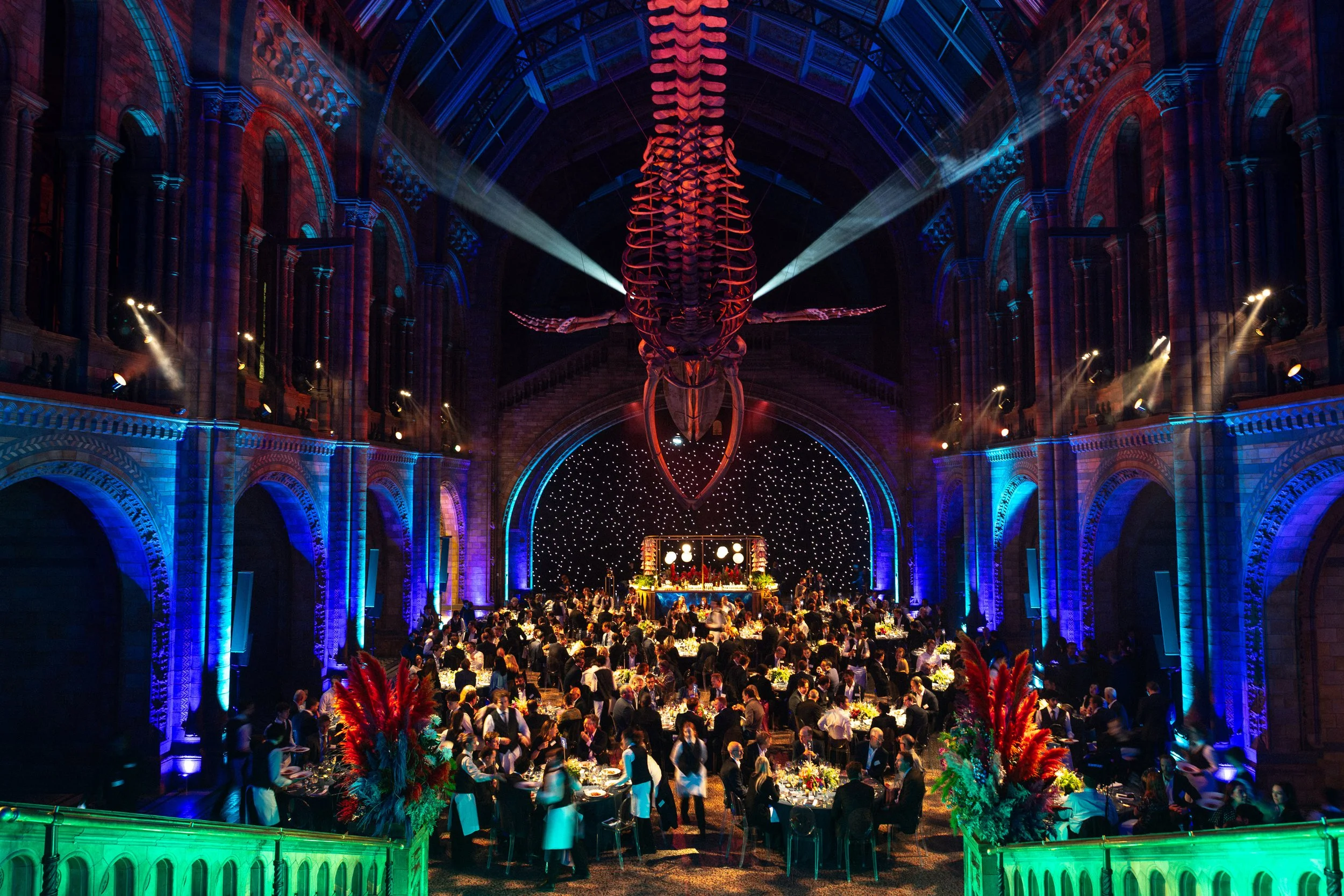 “Under the Sea” at the Natural History Museum