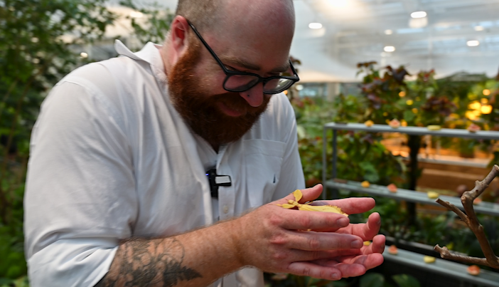 Tracer l’émerveillement: le parcours créatif d’un entomologiste