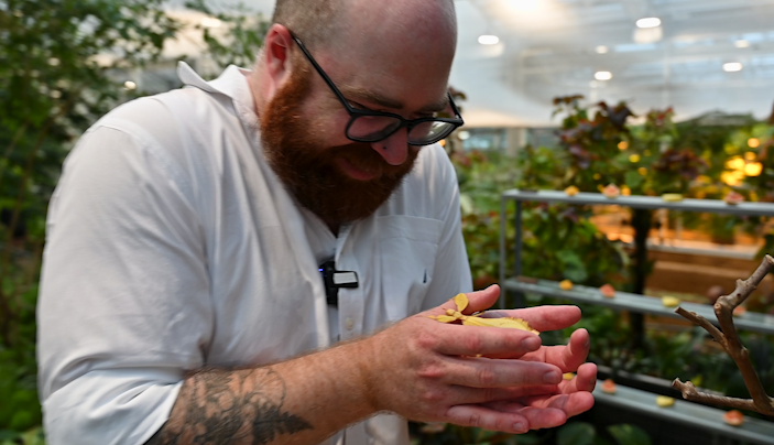 Mapping Wonder: An Entomologist’s Creative Journey