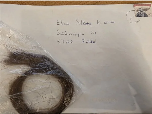 Etterlysning
