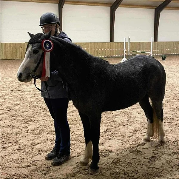 3-årstest i Fevik