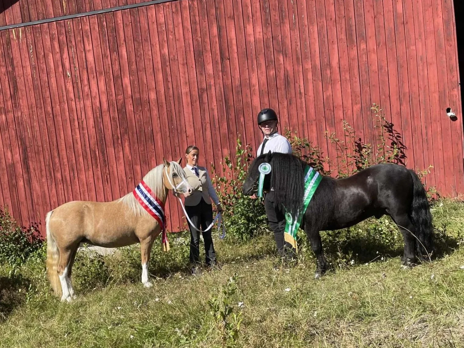 Meld på til NPA show Elverum!