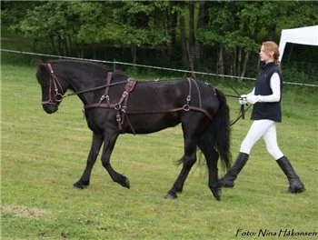 AVLSSESONGEN I NORGE 2012