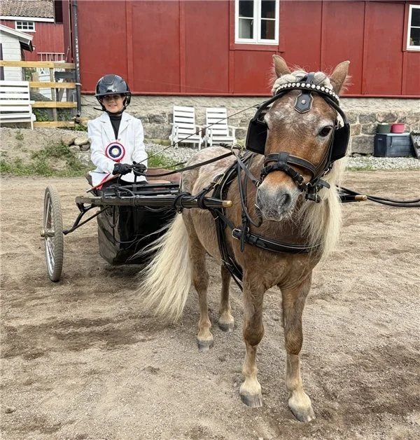 Resultater NPA show Tjøme 28. juni