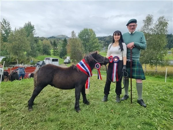 Hyllestad Shetlandshow 2024