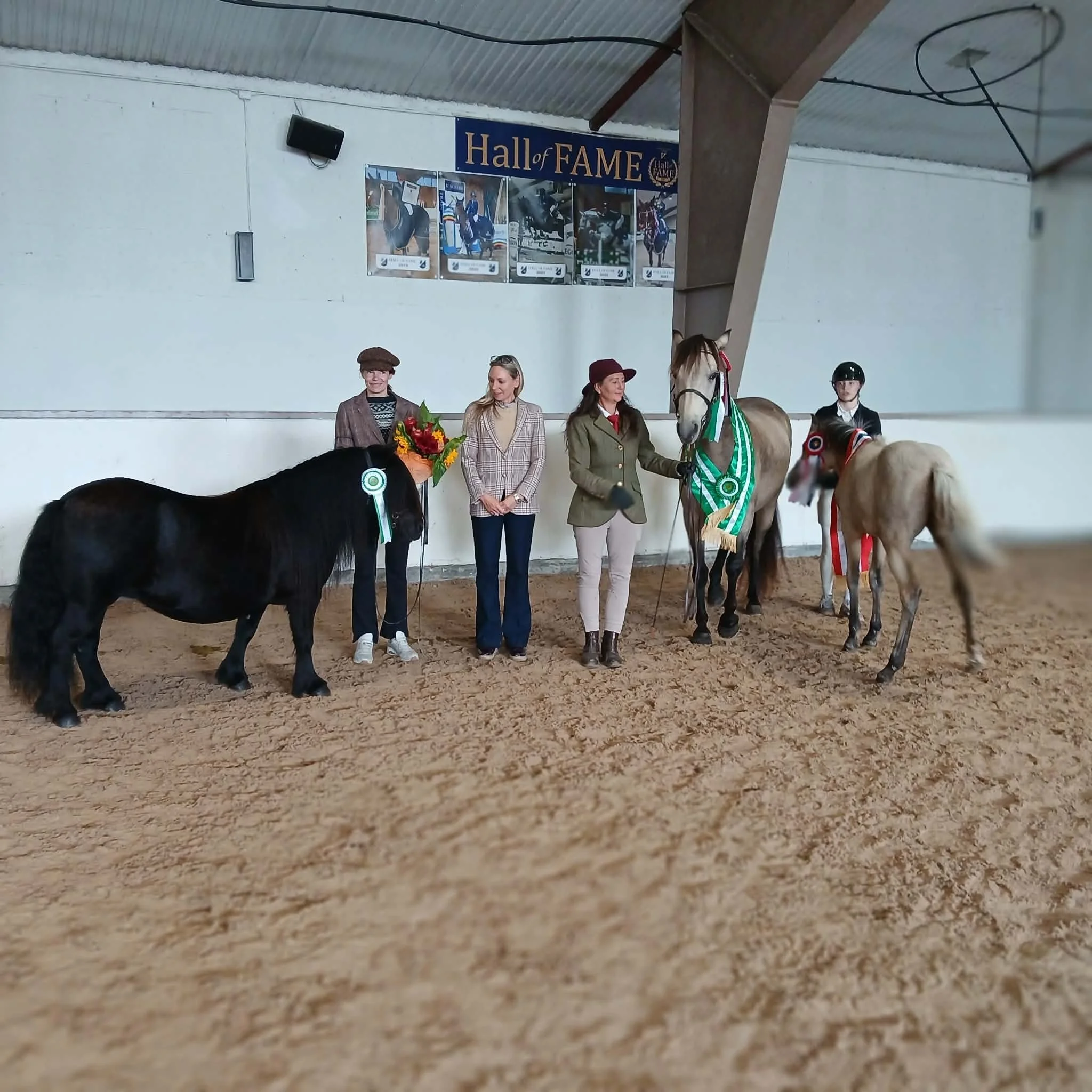BEST IN SHOW, Res. BEST IN SHOW, UNGHESTCHAMPION og BESTE FØLL