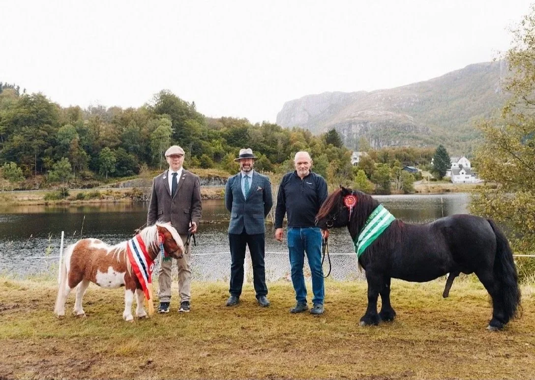 Hyllestad Shetlandshow 2026