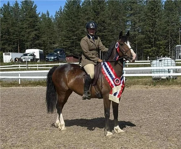 NPA show på Nesbyen er avlyst! Nytt tilbud i Kongsberg samme dag.