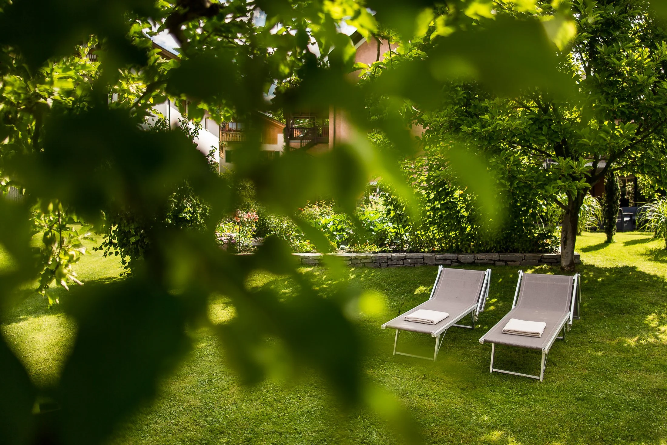 Ein Garten mit Grünflächen, Bäumen, zwei Liegestühlen und einem Haus im Hintergrund, das durch Blätter verdeckt ist.